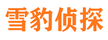 隆安市私人侦探